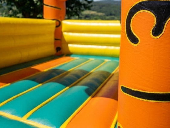 Tigre - imagem 3