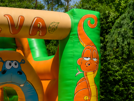 Selva Escorrega Interno - imagem 4