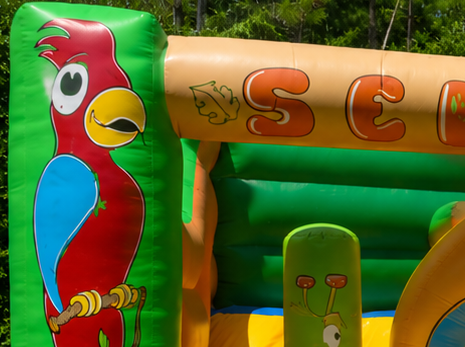 Selva Escorrega Interno - imagem 3