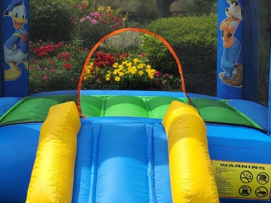 Casa do Mickey - imagem 3