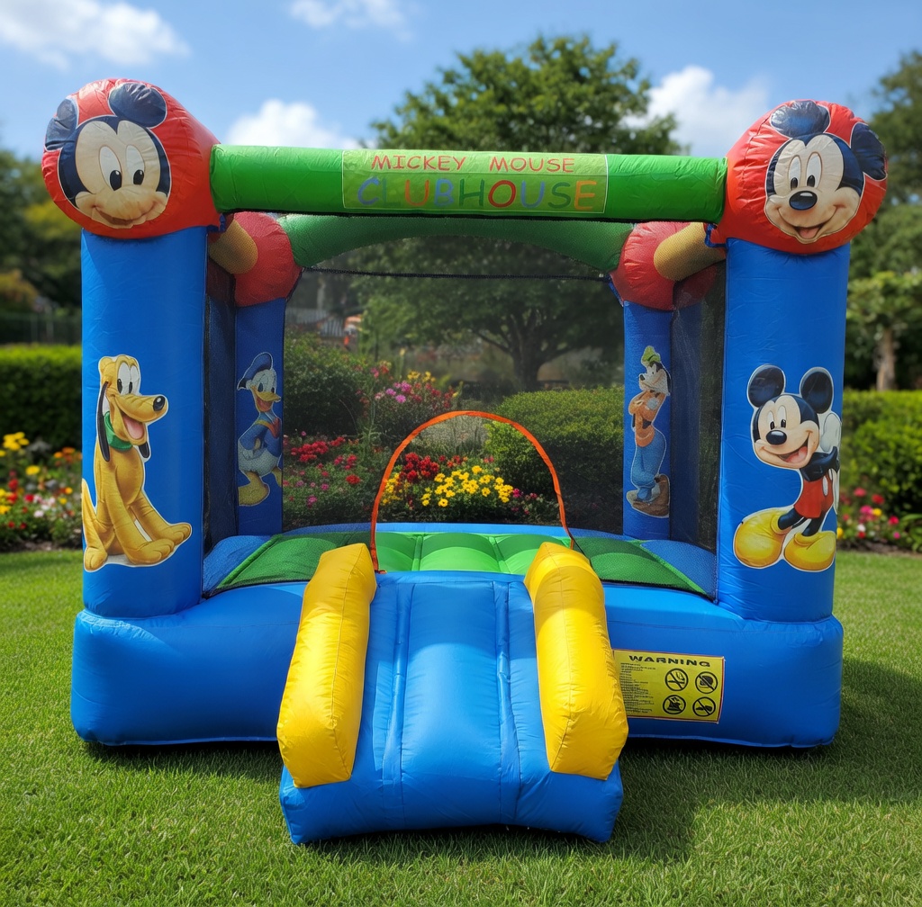 Casa do Mickey