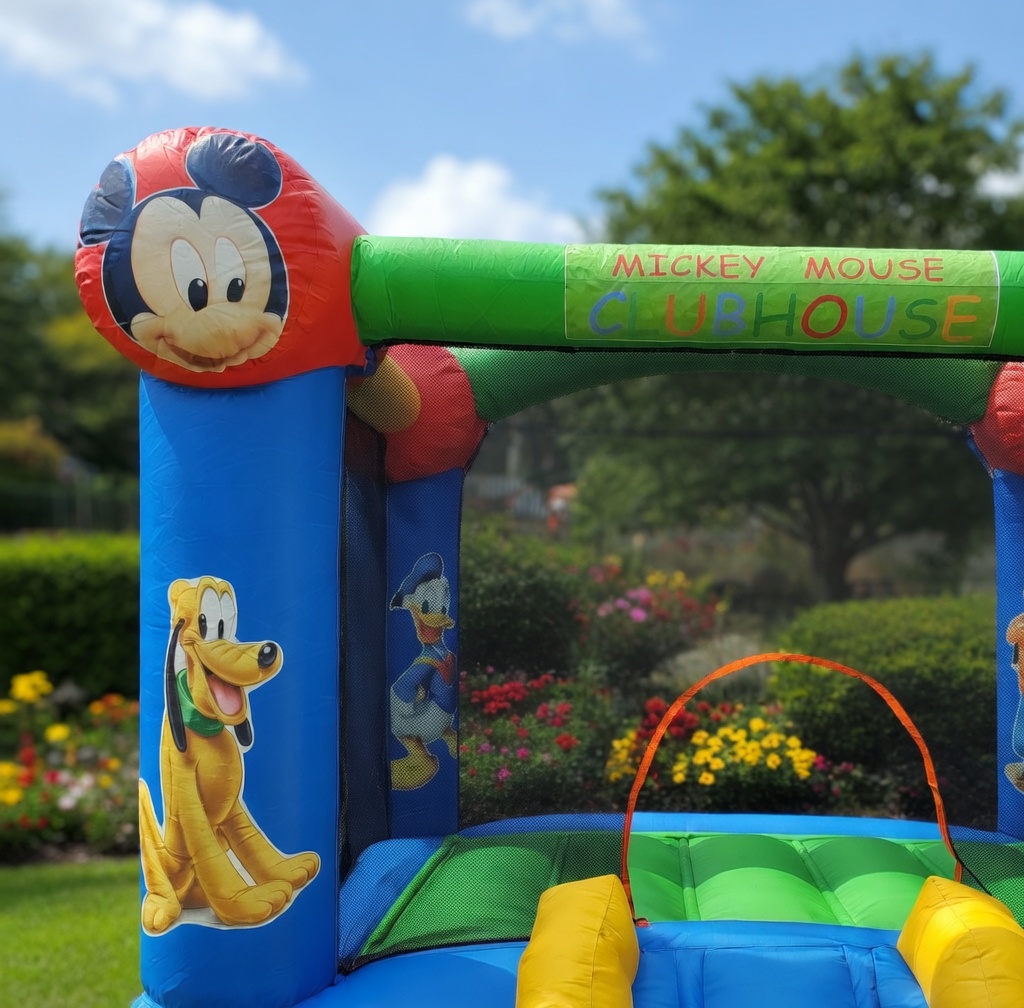 Casa do Mickey - imagem 2