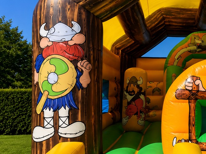 Viking - imagem 2