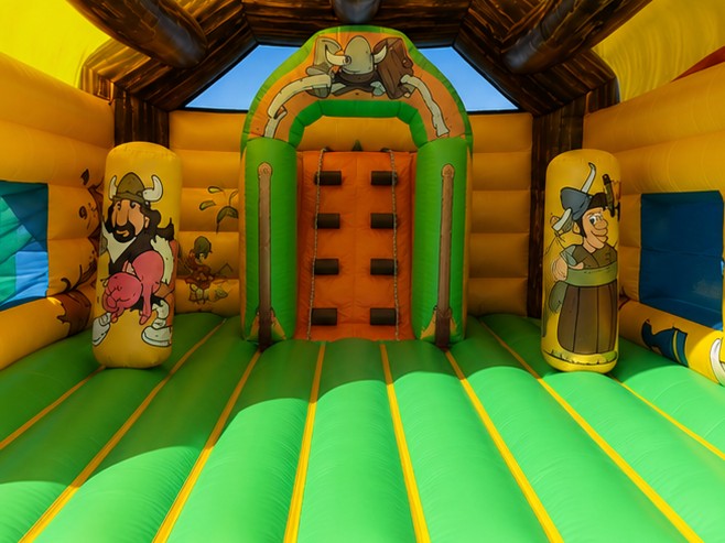 Viking - imagem 3