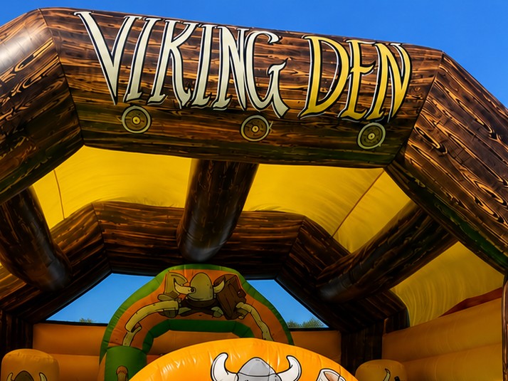 Viking - imagem 4