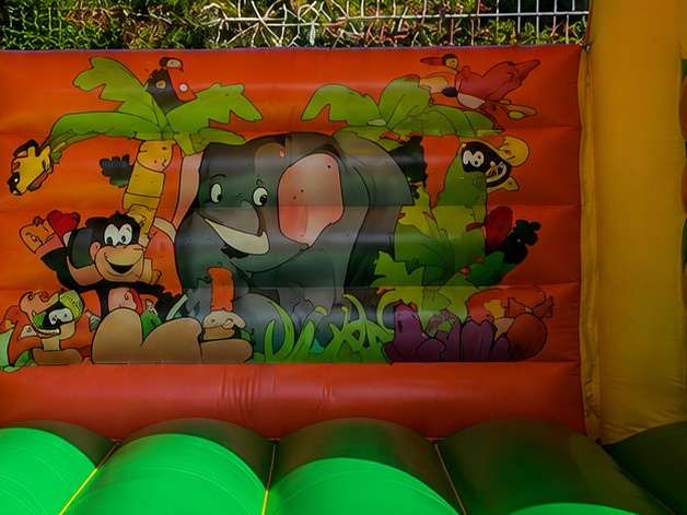 Floresta Encantada - imagem 4